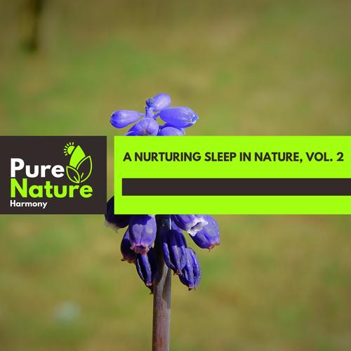 A Nurturing Sleep in Nature, Vol. 2
