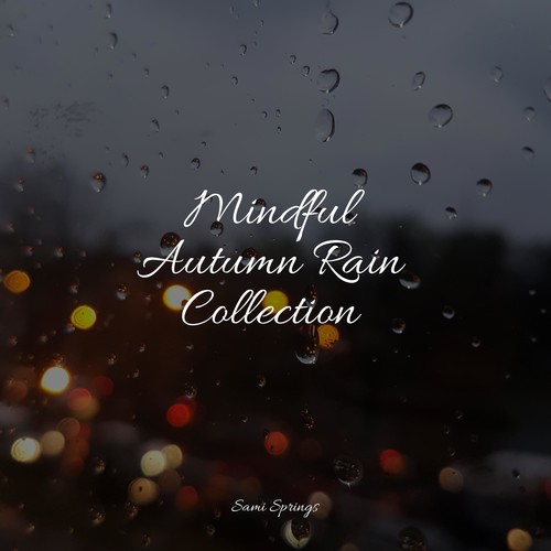 Mindful Autumn Rain Collection