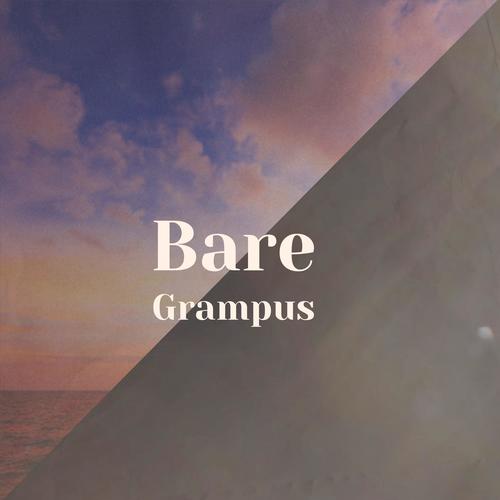 Bare Grampus