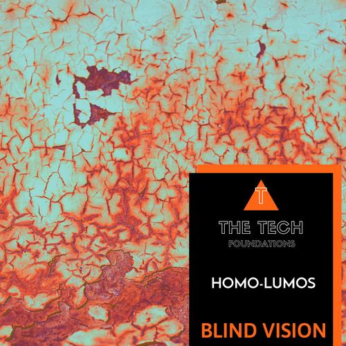 Blind Vision