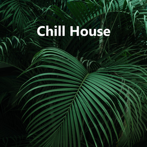 Chill House (Explicit)