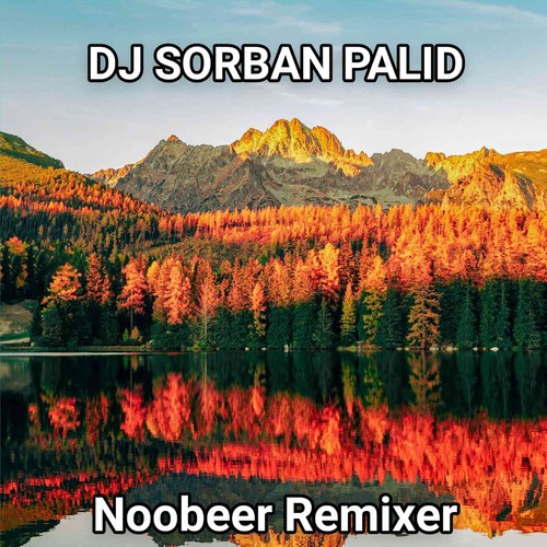 DJ SORBAN PALID