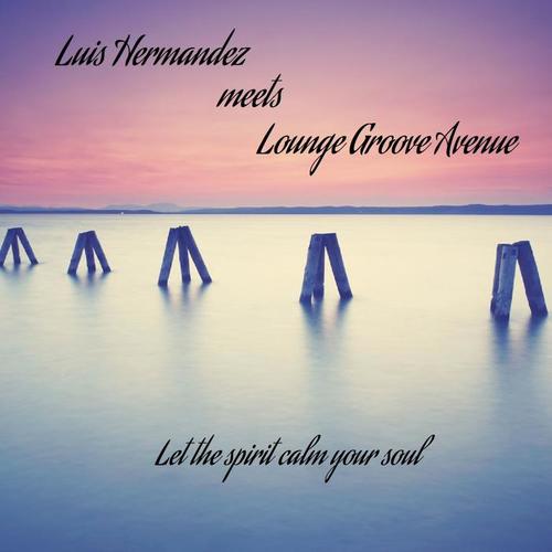 Luis Hermandez Meets Lounge Groove Avenue