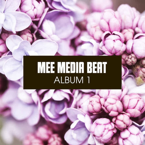 Mee Media Beat - Album 1