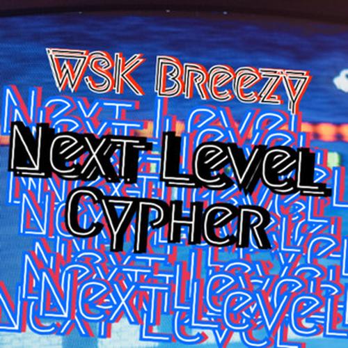 Next Level (Freestyle) [Explicit]