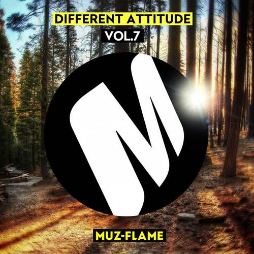 Different Attitude, Vol. 7