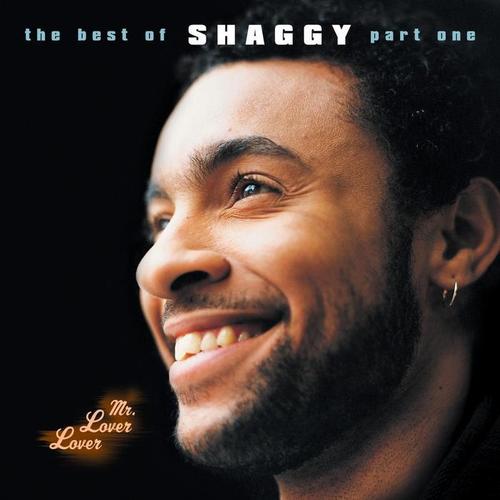 Mr. Lover Lover (The Best Of Shaggy Part 1)