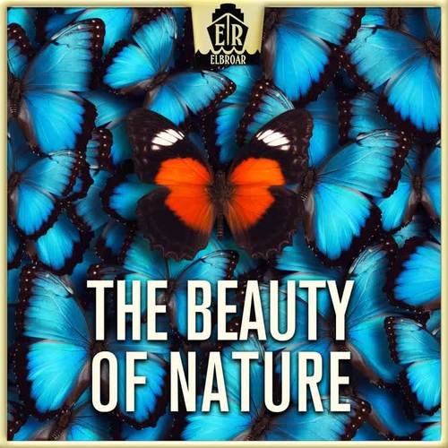 Beauty of Nature - Cheerful and Easygoing Acoustic Guitar Folk