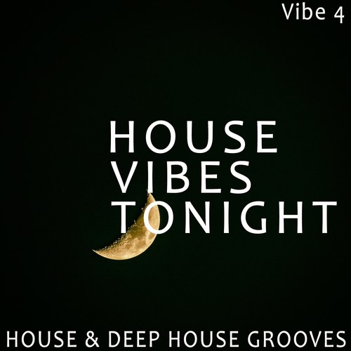 House Vibes Tonight - Vibe.4