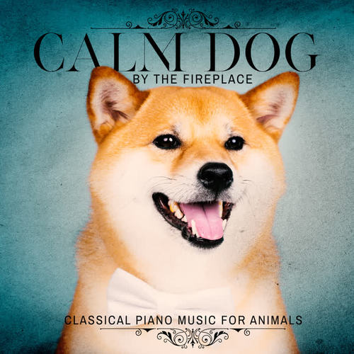 Calm Dog by the Fireplace - Classical Piano Music for Animals