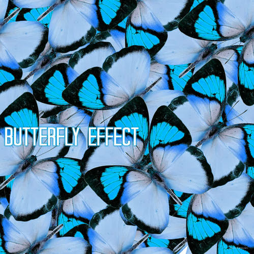 Butterfly Effect