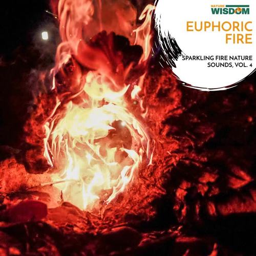 Euphoric Fire - Sparkling Fire Nature Sounds, Vol. 4