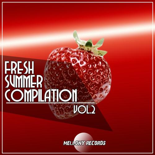 FRESH SUMMER COMPILATION VOL.2