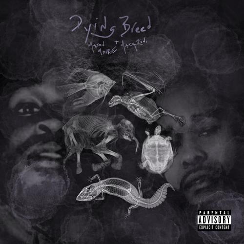 Dying Breed (Explicit)