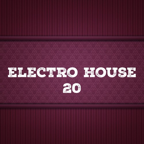 Electro House, Vol. 20