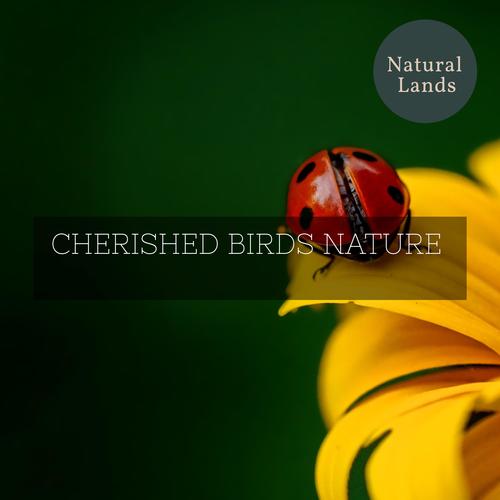 Cherished Birds Nature