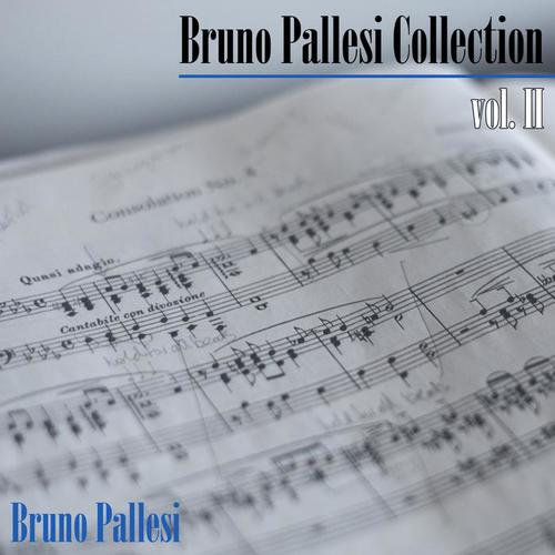 Bruno Pallesi collection, Vol. II