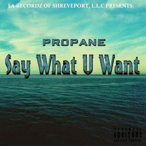 Say What U Want (Explicit)