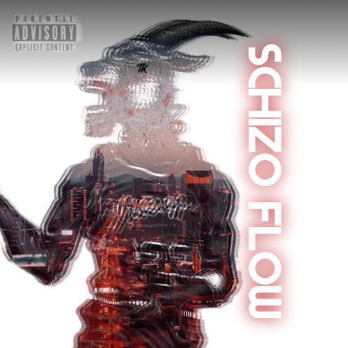 Schizo Flow (Explicit)