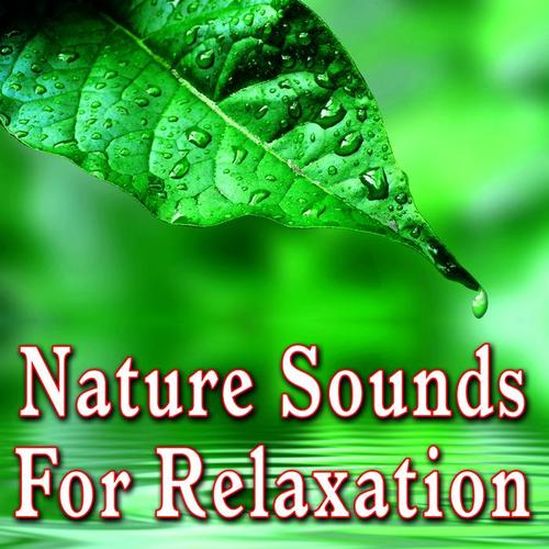 Nature Sounds for Relaxation