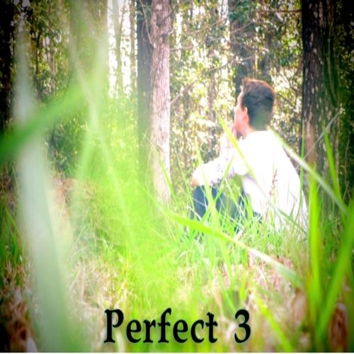 Perfect, Pt. 3 (Explicit)