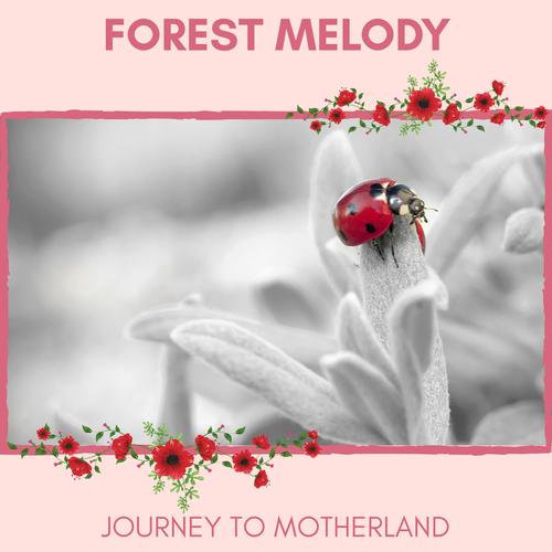 Forest Melody - Journey to Motherland