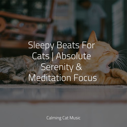 Sleepy Beats For Cats | Absolute Serenity & Meditation Focus