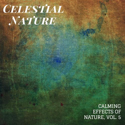 Celestial Nature - Calming Effects of Nature, Vol. 5