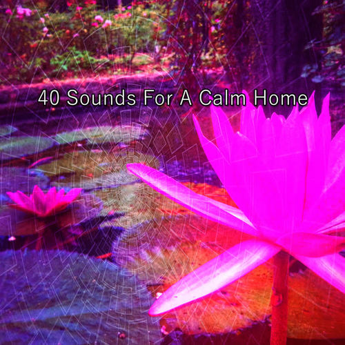 40 Sounds For A Calm Home