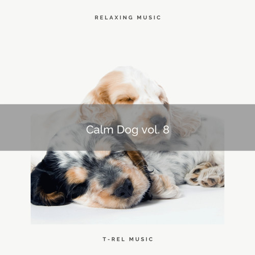 2021 New: Calm Dog vol. 8