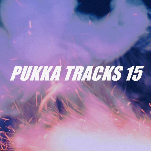 PUKKA TRACKS 15