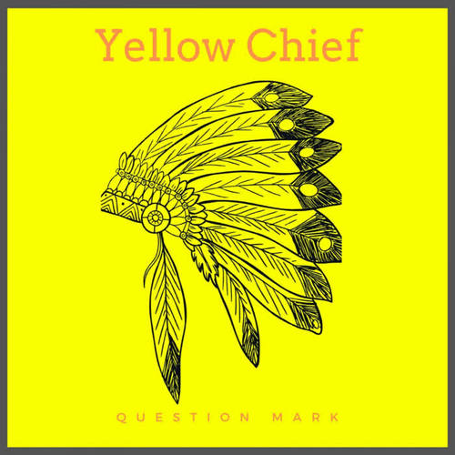 Yellow Chief