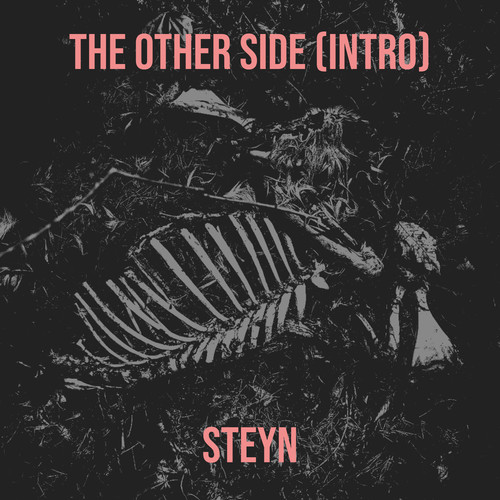 The Other Side (Intro) [Explicit]