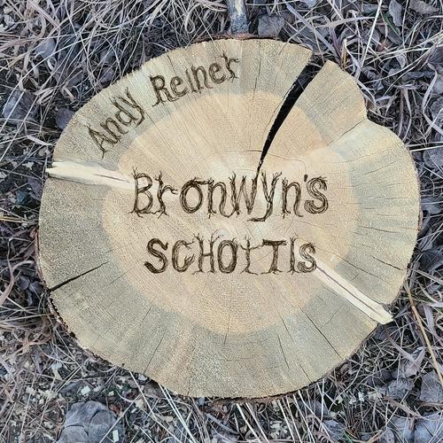 Bronwyn's Schottis (feat. Bronwyn Bird, Bassil Silver & Evan Marien)