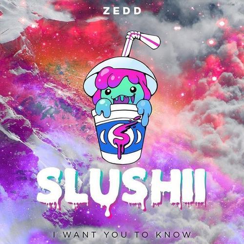 I Want You To Know (Slushii Remix)