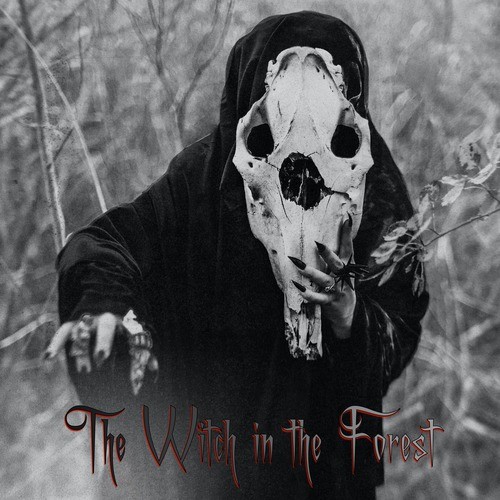 The Witch in the Forest