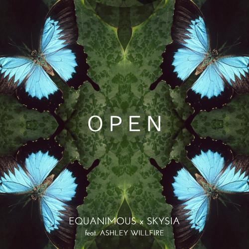 Open (feat. Ashley Willfire)