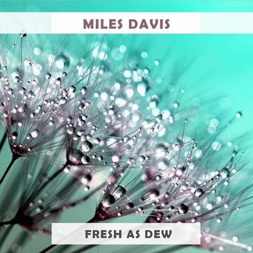 Fresh As Dew