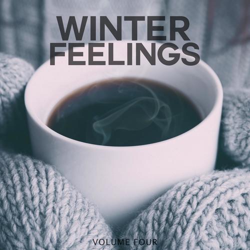 Winter Feelings, Vol. 4 (Sit Back And Enjoy Your Sensual Moment)