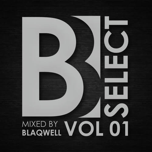 Brobot Select: Vol. 1 (Mixed By Blaqwell)