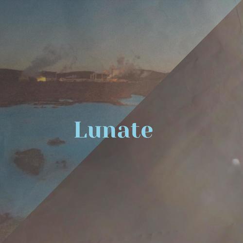 Lunate