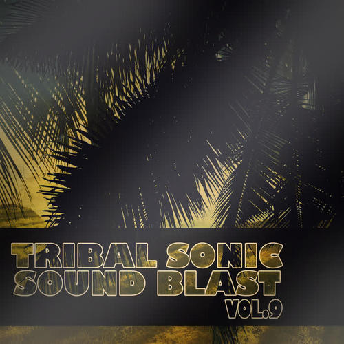 Tribal Sonic Soundblast,Vol.9