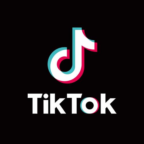 TIKTOK 抖音2023 DJ版