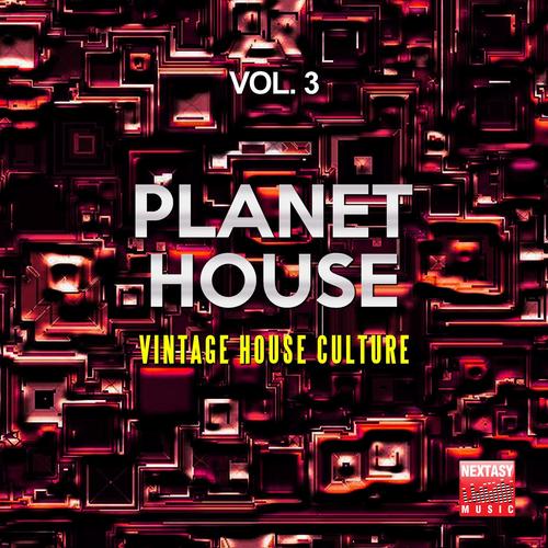 Planet House, Vol. 3 (Vintage House Culture)