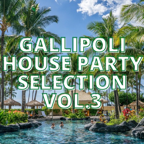 Gallipoli House Party Selection Vol.3