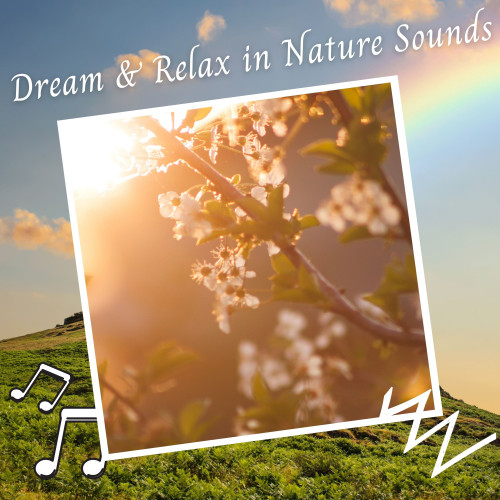 Dream & Relax in Nature Sounds