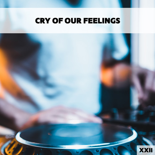 Cry Of Our Feelings XXII