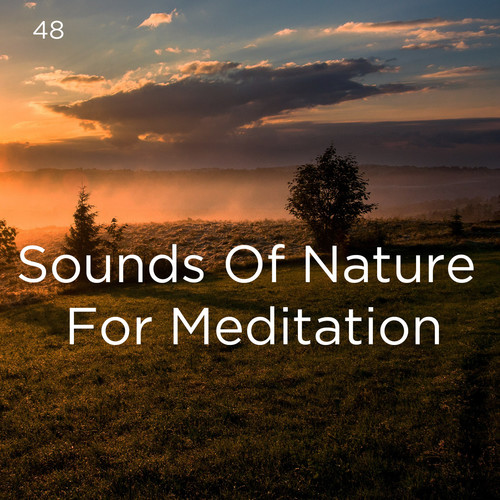 48 Sounds Of Nature For Meditation