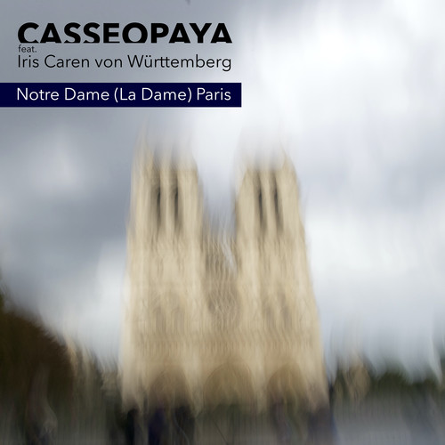 Notre Dame - La Dame - Paris