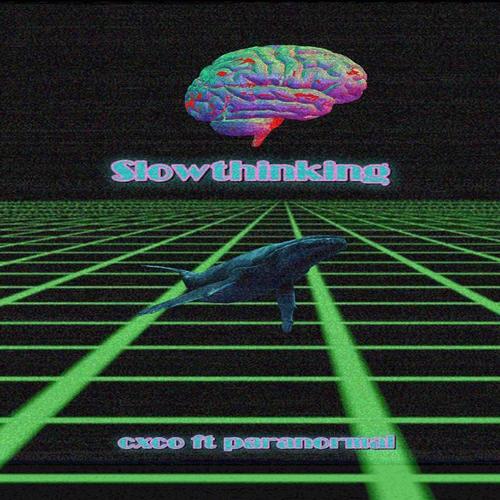 Slow Thinking